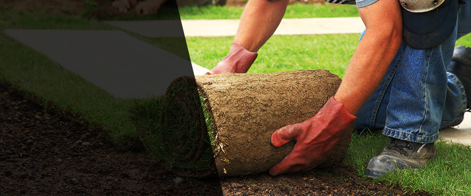 Baton Rouge Landscapers
